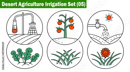Detailed line art icons for desert farming, showing water systems and plant types, vector illustration.