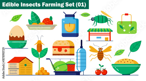 Edible insects farming set with insect burger fried eggs and beetle insect vector illustration.