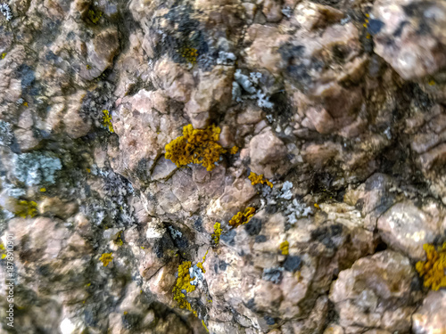 Rock Texture