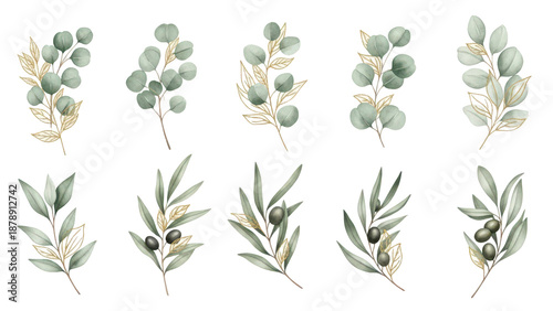 Watercolor floral illustration set   green & gold leaf branches collection, for wedding stationary, greetings, wallpapers, fashion, background. Eucalyptus, olive, green leaves, etc.