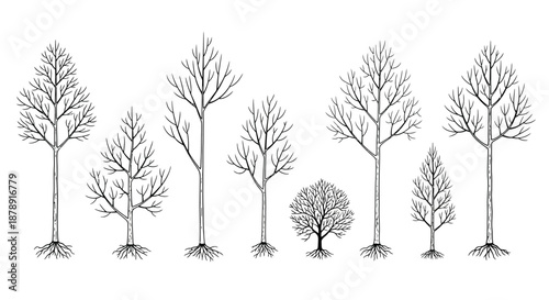 Illustration of various trees with roots