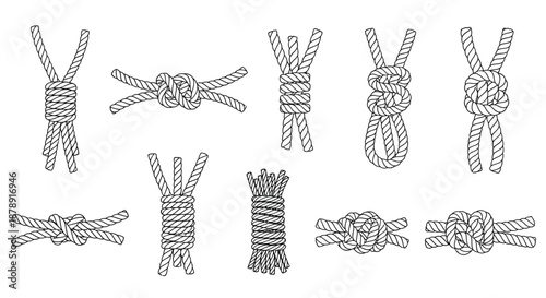 Various knots illustrated