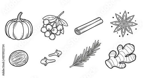Illustrated collection of spices and herbs Vector
