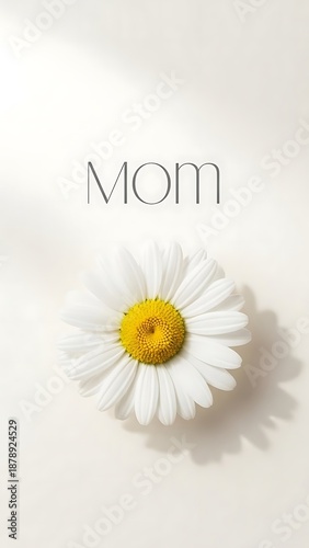 Heartfelt mother's day wishes with a beautiful white daisy flower