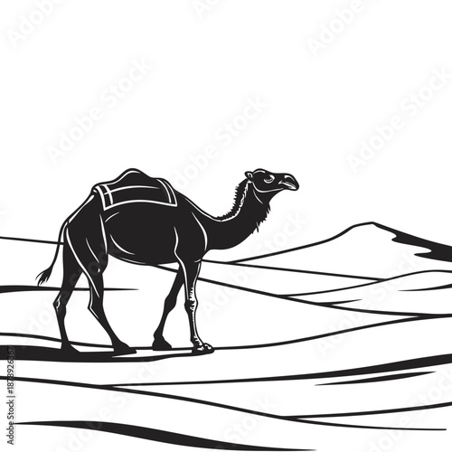 Camel in the desert