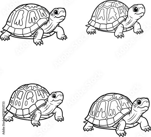 Cute Box Turtle Coloring Page Black Out Line Vector