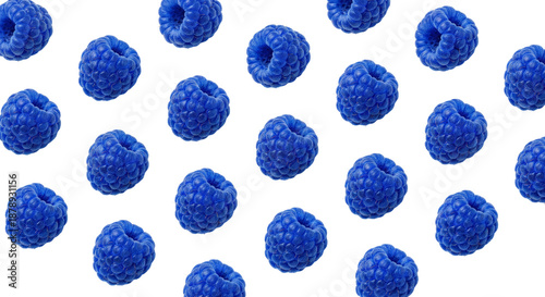 Blue Raspberry Pattern on White Background