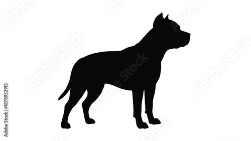 A striking profile view of a pit bull dog in silhouette