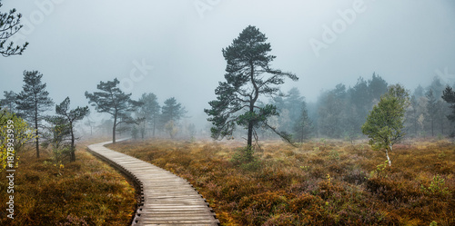 Foto Weg durch das Schwarze Moor in der Rhön, Bayern, Deutschland
