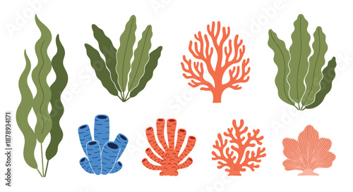 Colorful set of different sea plants corals and sponges for underwater ocean floor illustration.
