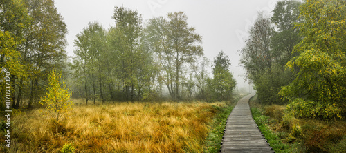 Nebelstimmung im Schwarzem Moor in der Bayrischen Rhön