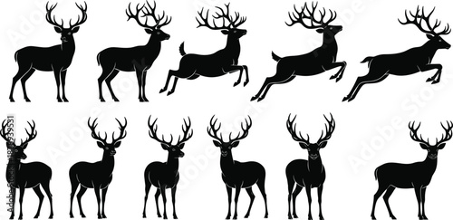 Set of deer and reindeer silhouettes in various poses including standing and jumping isolated on white background for wildlife design vector