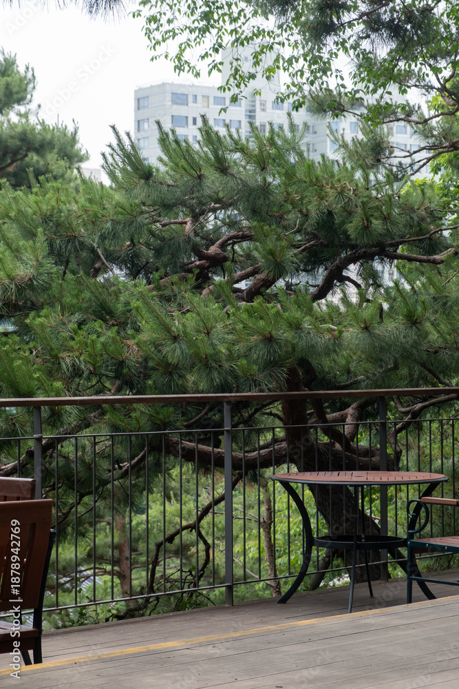 Fototapeta premium Outdoor terrace with wooden seating and table, with pine trees on the background.