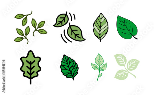 Set of Green Leaf Illustrations.