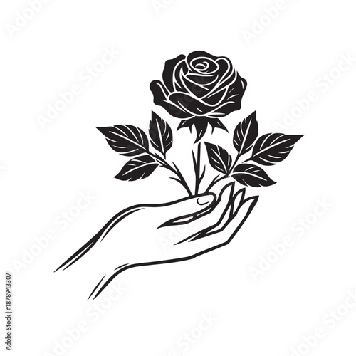 Delicate hand holding beautiful blooming rose flower and leaves vector drawing
