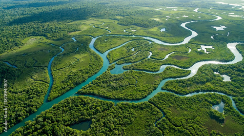 Aerial View of a Lush Green Mangrove Forest with Winding Blue Waterways and Small Ponds Keywords: aerial, drone, view, landscape, nature, forest, jungle, mangrove