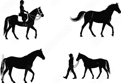 Silhouettes of horses and humans in various equestrian activities including riding, walking, and leading on white background