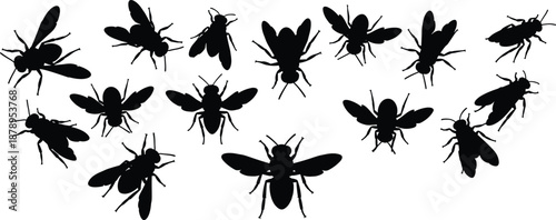 Black honey bee silhouette collection featuring various flying insect icons and bumblebee shapes for nature conservation and garden vector design.