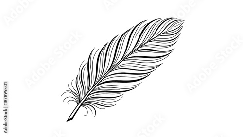 Black and white illustration of a single feather on white background.