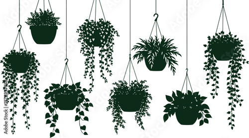 Hanging floral tub plants for indoor decor