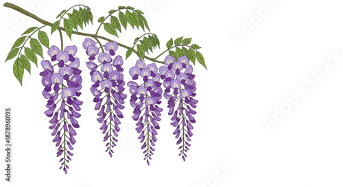 Vibrant Trumpet Vine Flowers with Green Leaves and Twining Tendrils Illustration