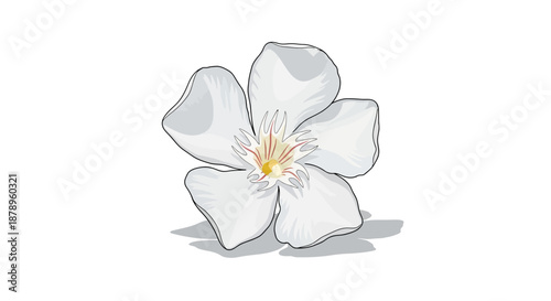 Illustration of a yellow flower cluster on a green plant stem