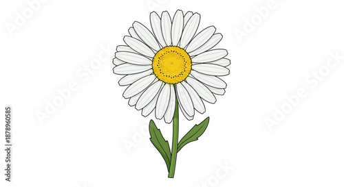 Blue water lily with green leaves on white background