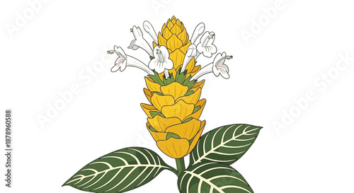 Illustration of purple wisteria flowers hanging from a branch