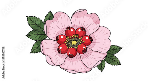 White jasmine flowers and green leaves illustration on white background.