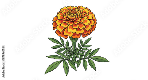 Bird cherry blossom branch with green leaves and white flowers