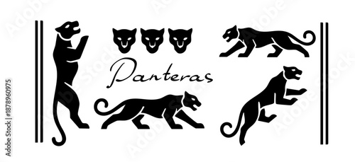 Snow leopard panther lion predator similar to QR code, barcode