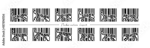 Snow leopard panther lion predator similar to QR code, barcode