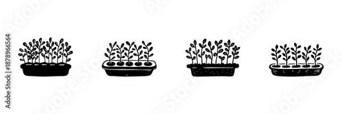 Seedlings In Planters In Hand Drawn Style Set. Indoor Gardening, Plant Growth, Home Horticulture Doodle Sketch Collection. Botanical Illustration. Isolated Vector Illustration