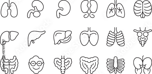 A simple black and white iconographic layout depicts various educational and teaching symbols like a glowing lightbulb and a person presenting data.