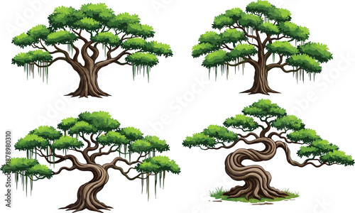 Set of four detailed banyan tree vector illustrations with gnarled twisted trunks and hanging roots isolated on white background for nature and landscape design.