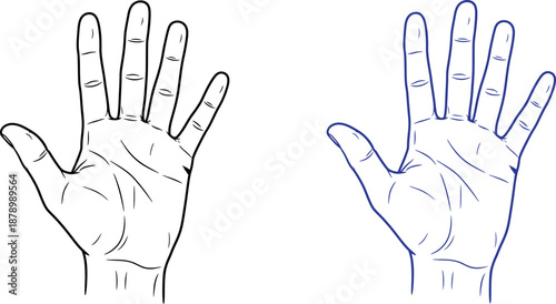 Detailed illustration of human hands in two contrasting line styles