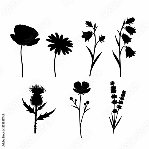 Set of 7 wild flower silhouettes, including poppy, thistle, lavender, and bellflower. Botanical black and white vector illustration.