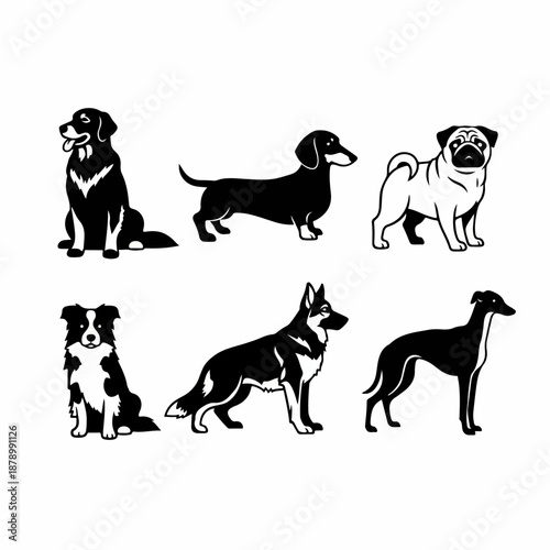 Black and white vector set of six popular dog breeds including Labrador, Dachshund, Pug, Border Collie, German Shepherd, and Greyhound silhouettes.