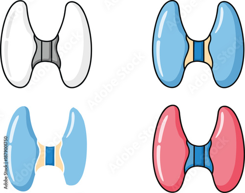 Stylized thyroid gland anatomy set, medical organ illustration, health condition variations, endocrine system concept, flat vector illustration