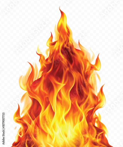 realistic 3d fire flame in curve style isolated on transparent background	