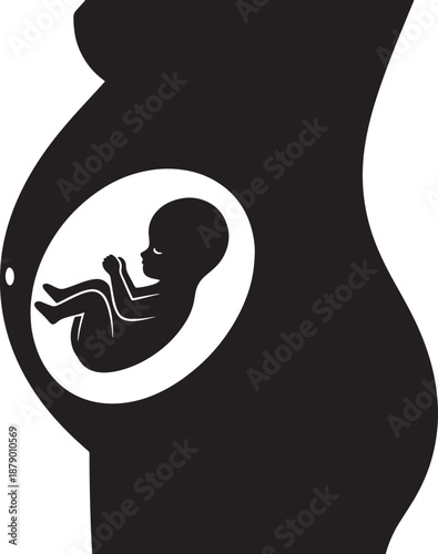 Silhouette of a pregnant woman with a fetus inside her womb against a white background Vector