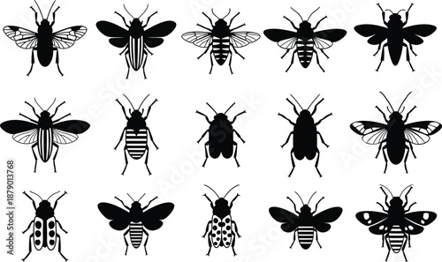 Cuadro en lienzo Silhouette of various insects in black and white