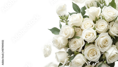 A bouquet of white roses on transparent background
