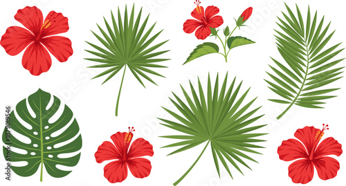 Set of tropical hibiscus flowers and green palm leaves, vector illustration collection for summer nature design, exotic jungle pattern, or floral background element.