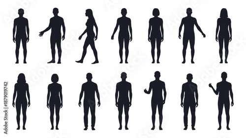 Silhouettes of human figures in various poses isolated on white background, Vector