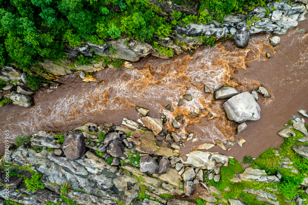 Obraz premium Aerial view of forest River, India.