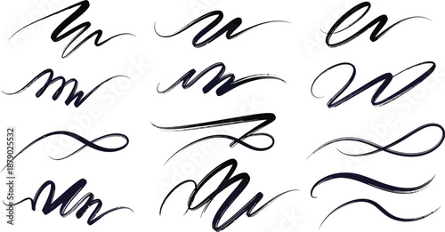 A collection of elegant black ink calligraphic swashes, flourishes, and decorative elements providing artistic accents for various design projects and invitations.