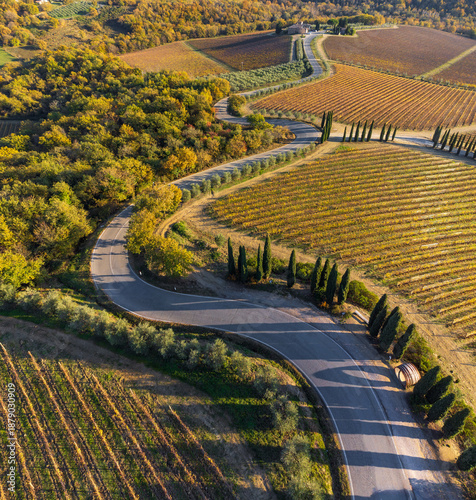 winding road among Chianti vineyards climbs to the Albola Castle