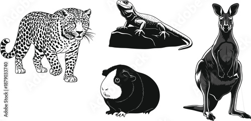 Animal silhouettes illustration, leopard lizard guinea pig kangaroo, black and white design, wildlife diversity, nature sketch, biodiversity artwork drawing