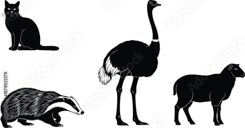 Cat silhouette illustration, badger crawling outline, ostrich highlighted artwork, sheep vector drawing, wildlife graphic design, educational animal classification reference